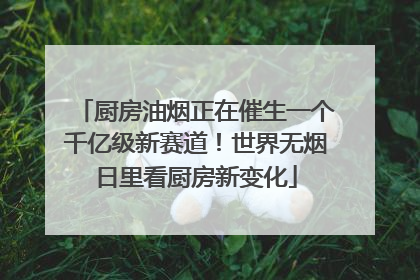 厨房油烟正在催生一个千亿级新赛道！世界无烟日里看厨房新变化
