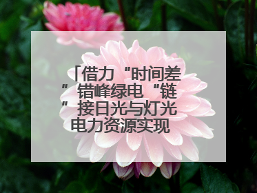 借力“时间差”错峰绿电“链”接日光与灯光 电力资源实现“时空腾挪”