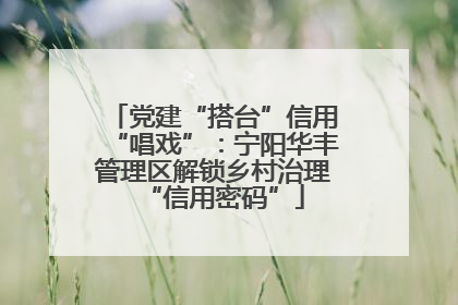 党建“搭台”信用“唱戏”：宁阳华丰管理区解锁乡村治理“信用密码”