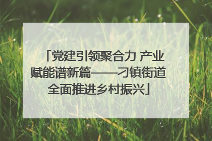 党建引领聚合力 产业赋能谱新篇——刁镇街道全面推进乡村振兴