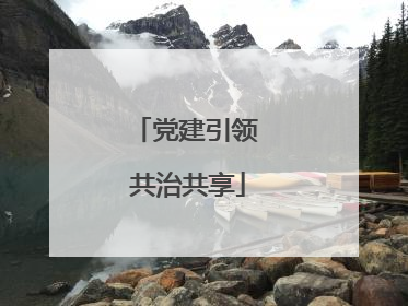 党建引领 共治共享