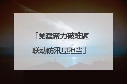 党建聚力破难题 联动防汛显担当