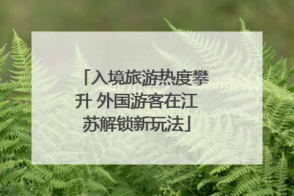 入境旅游热度攀升 外国游客在江苏解锁新玩法