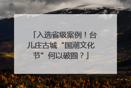 入选省级案例！台儿庄古城“国潮文化节”何以破圈？