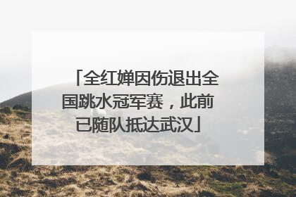 全红婵因伤退出全国跳水冠军赛，此前已随队抵达武汉