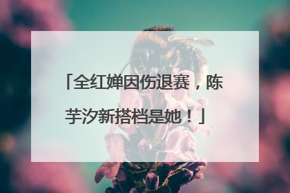 全红婵因伤退赛，陈芋汐新搭档是她！