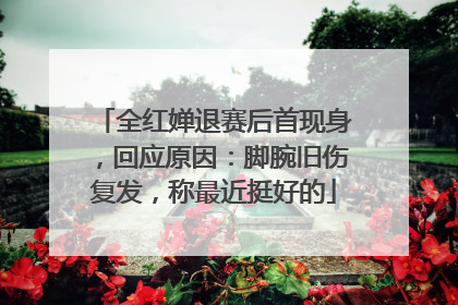 全红婵退赛后首现身，回应原因：脚腕旧伤复发，称最近挺好的