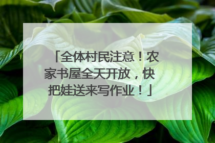 全体村民注意！农家书屋全天开放，快把娃送来写作业！