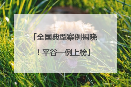 全国典型案例揭晓！平谷一例上榜