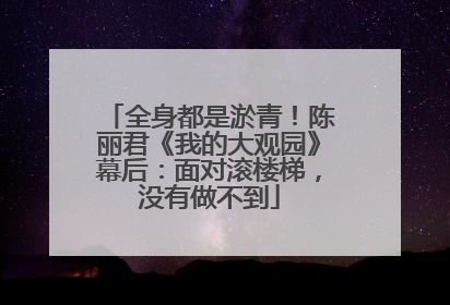 全身都是淤青！陈丽君《我的大观园》幕后：面对滚楼梯，没有做不到