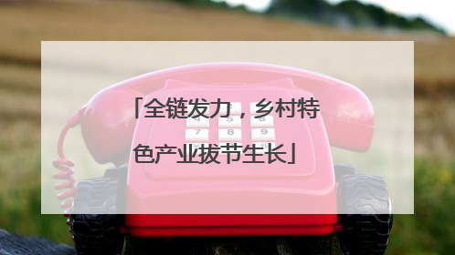 全链发力，乡村特色产业拔节生长