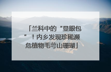 兰科中的“显眼包”！内乡发现珍稀濒危植物毛萼山珊瑚