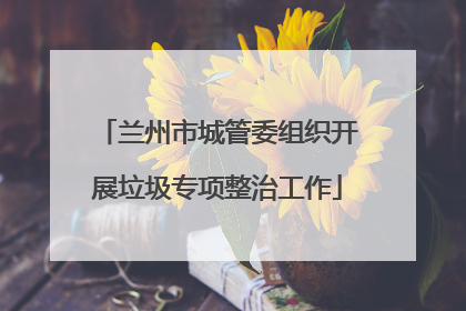 兰州市城管委组织开展垃圾专项整治工作