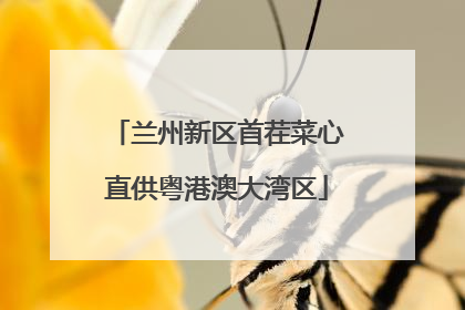 兰州新区首茬菜心直供粤港澳大湾区