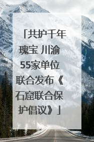 共护千年瑰宝 川渝55家单位联合发布《石窟联合保护倡议》