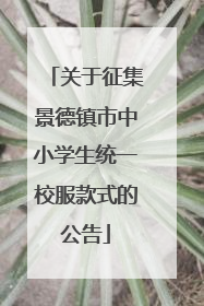 关于征集景德镇市中小学生统一校服款式的公告