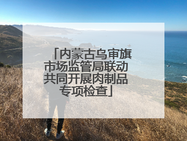 内蒙古乌审旗市场监管局联动共同开展肉制品专项检查