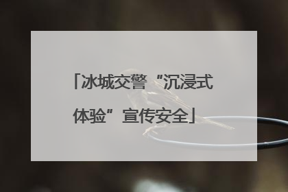 冰城交警“沉浸式体验”宣传安全