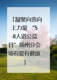 凝聚向善向上力量 “5·8人道公益日”扬州分会场有爱有健康