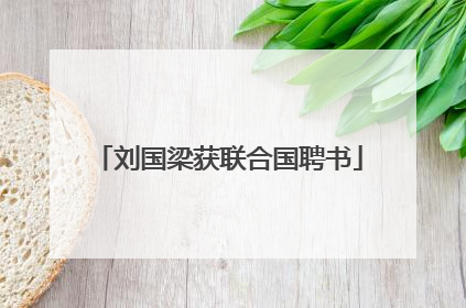 刘国梁获联合国聘书