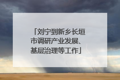刘宁到新乡长垣市调研产业发展、基层治理等工作