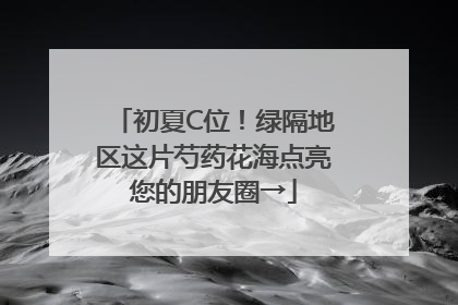 初夏C位！绿隔地区这片芍药花海点亮您的朋友圈→