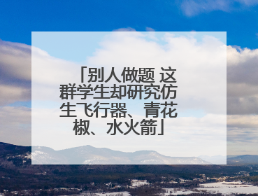 别人做题 这群学生却研究仿生飞行器、青花椒、水火箭