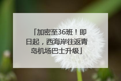 加密至36班！即日起，西海岸往返青岛机场巴士升级