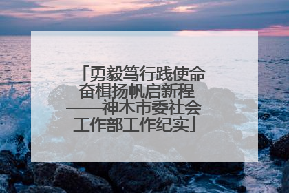 勇毅笃行践使命 奋楫扬帆启新程——神木市委社会工作部工作纪实