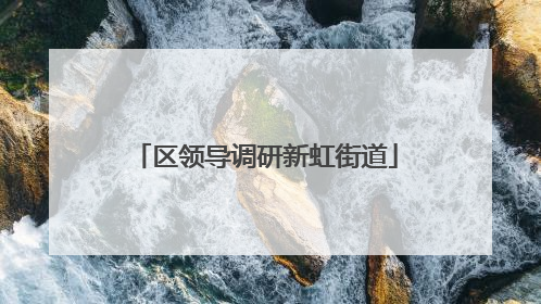 区领导调研新虹街道