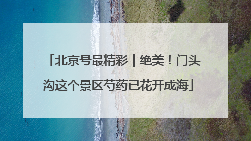 北京号最精彩｜绝美！门头沟这个景区芍药已花开成海