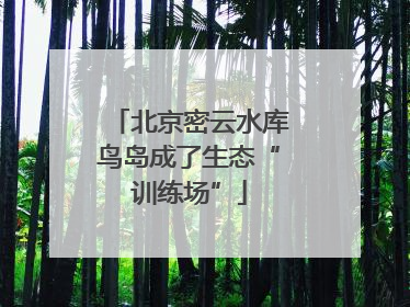 北京密云水库鸟岛成了生态“训练场”