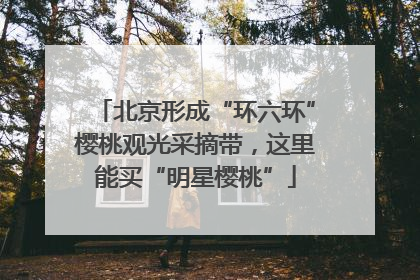 北京形成“环六环”樱桃观光采摘带，这里能买“明星樱桃”