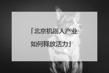 北京机器人产业如何释放活力