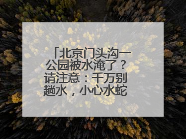 北京门头沟一公园被水淹了？请注意：千万别趟水，小心水蛇、水蛭……