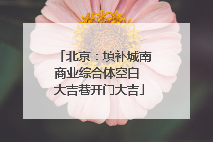 北京：填补城南商业综合体空白 大吉巷开门大吉