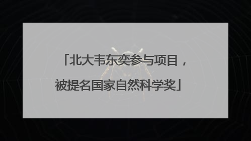 北大韦东奕参与项目，被提名国家自然科学奖