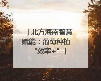 北方海南智慧赋能：葡萄种植“效率+”