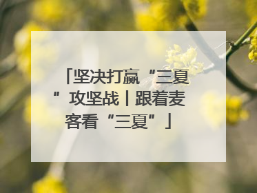 坚决打赢“三夏”攻坚战丨跟着麦客看“三夏”
