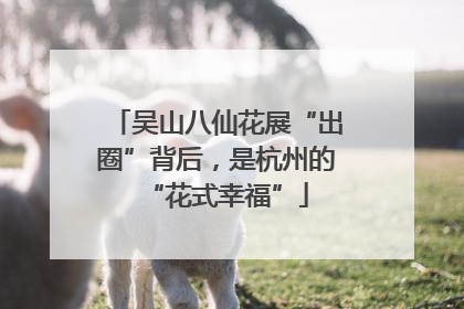吴山八仙花展“出圈”背后，是杭州的“花式幸福”
