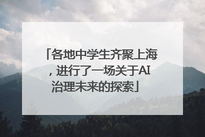 各地中学生齐聚上海，进行了一场关于AI治理未来的探索
