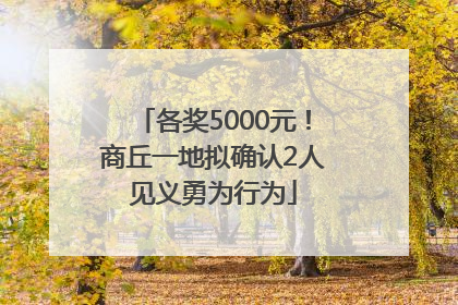 各奖5000元！商丘一地拟确认2人见义勇为行为