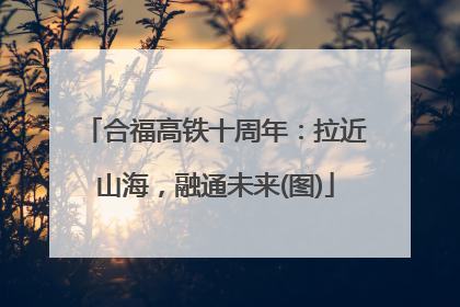 合福高铁十周年：拉近山海，融通未来(图)