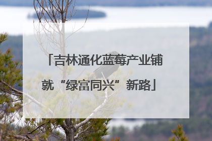 吉林通化蓝莓产业铺就“绿富同兴”新路