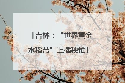 吉林：“世界黄金水稻带”上插秧忙
