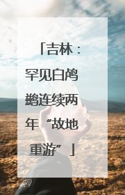 吉林：罕见白鸬鹚连续两年“故地重游”