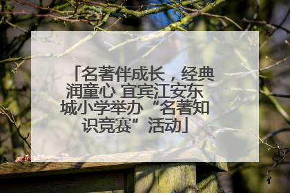 名著伴成长，经典润童心 宜宾江安东城小学举办“名著知识竞赛”活动