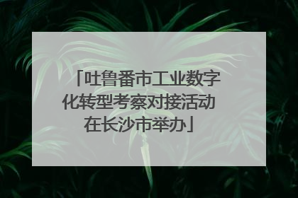 吐鲁番市工业数字化转型考察对接活动在长沙市举办