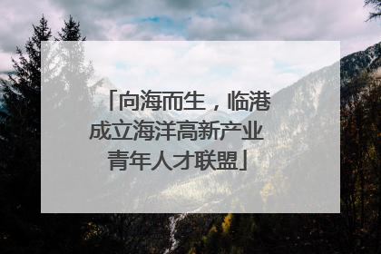 向海而生，临港成立海洋高新产业青年人才联盟