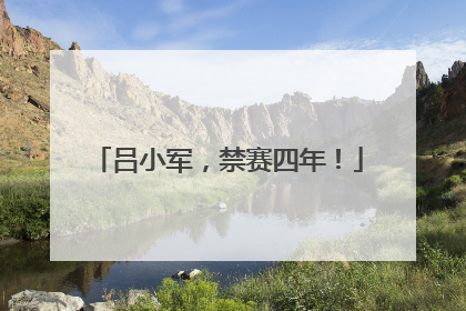 吕小军，禁赛四年！